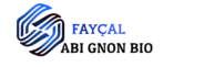 Fayçal porfolio